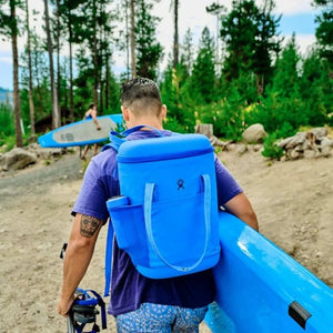 20 L Carry Out? Soft Cooler Pack